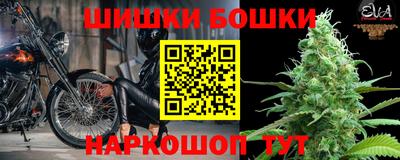 дмт Будённовск