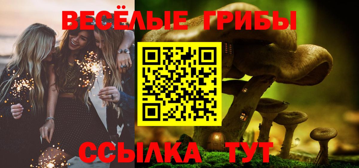 Псилоцибиновые грибы MAGIC MUSHROOMS Истра